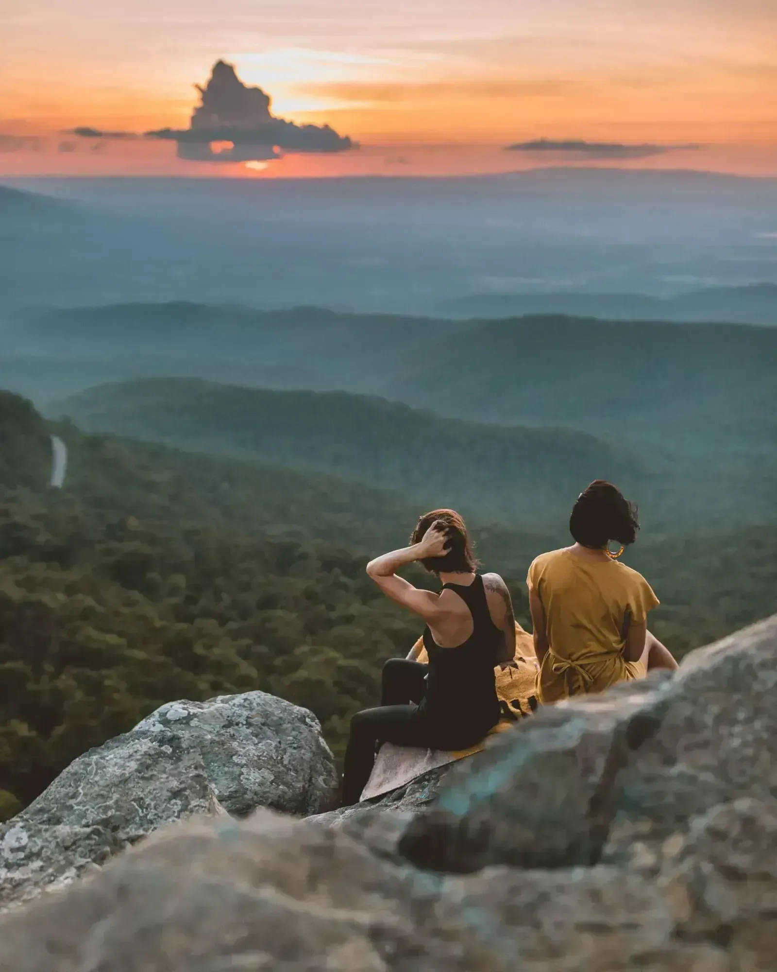 Professional revenue management workspace