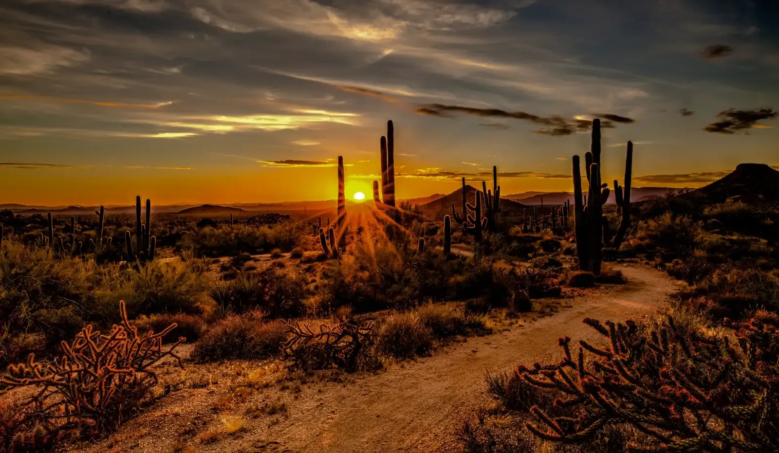 Kate, Arizona