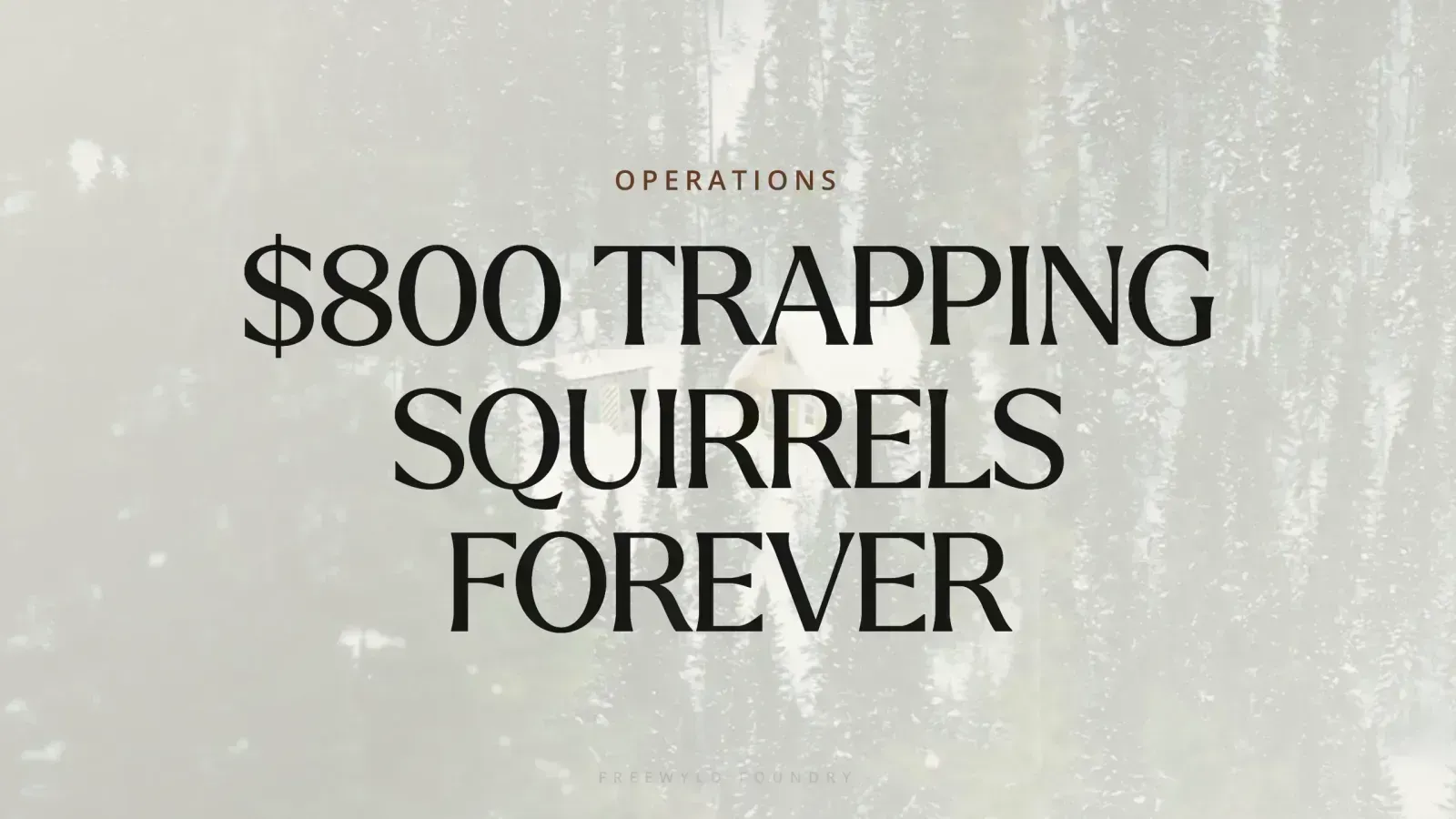 Stop Being a Hectic Host: Build Systems That Scale Your Rental Business