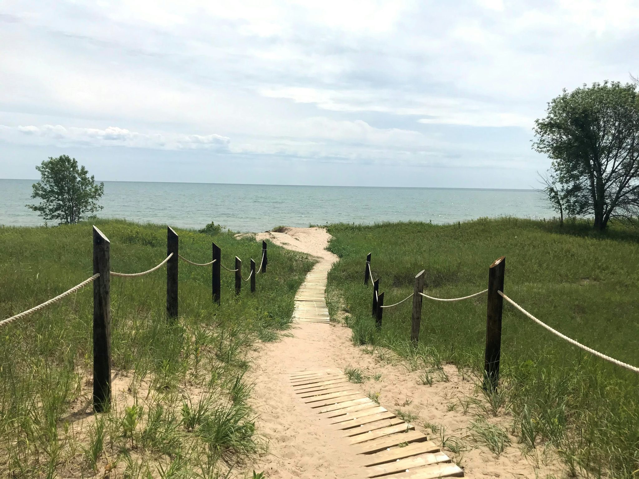 nancy-ketchman-S4Ld79FO0X8-unsplash